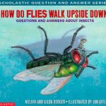How Do Flies Walk Upside Down