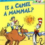 Is Camel a Mammal