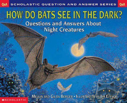 How Do Bats See in the Dark - 4MyKidz