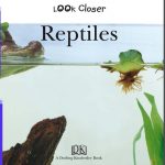 Reptilies